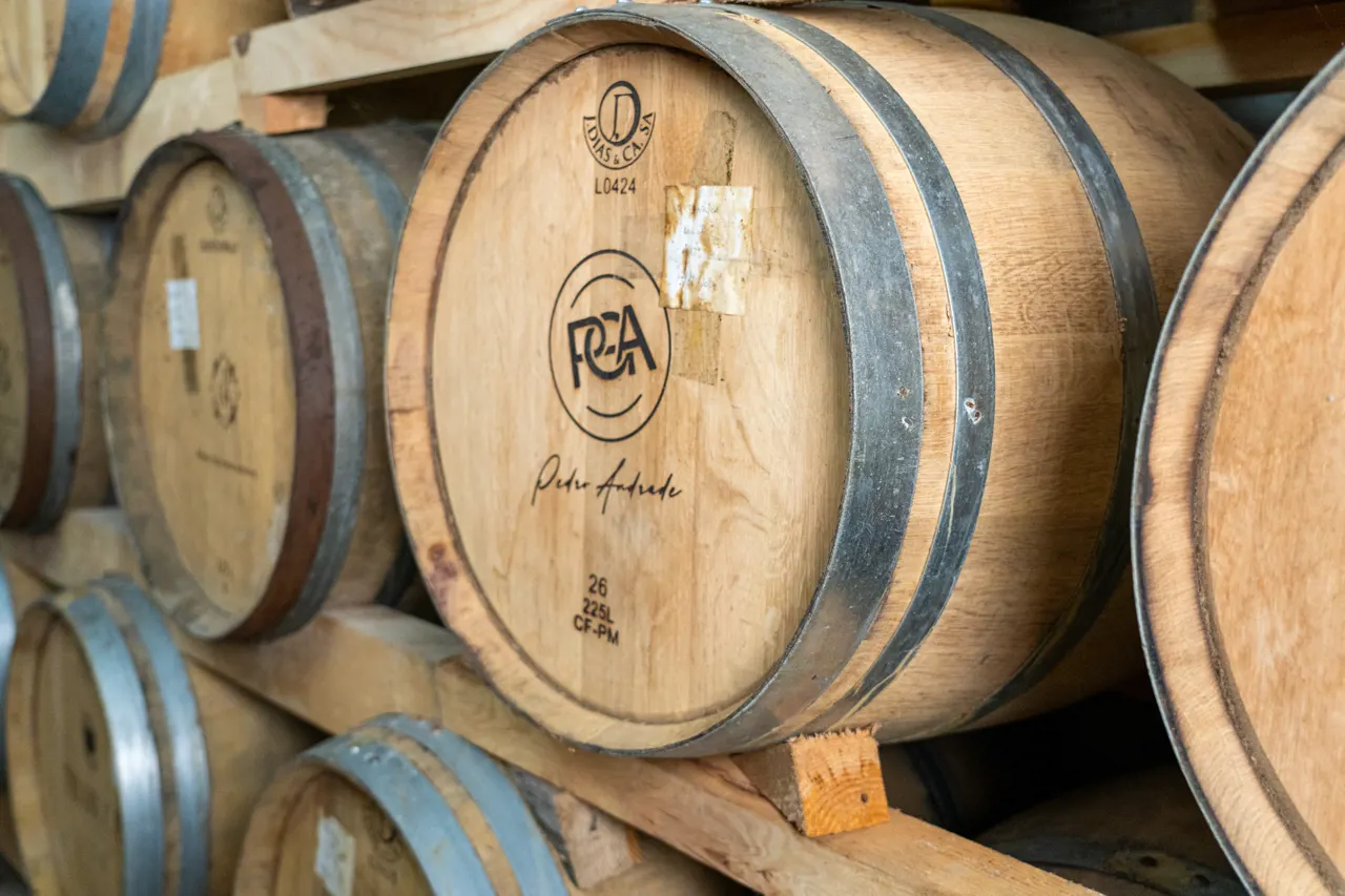 Guided visit to PGA Wine Cellar - Pedro Guilherme de Andrade