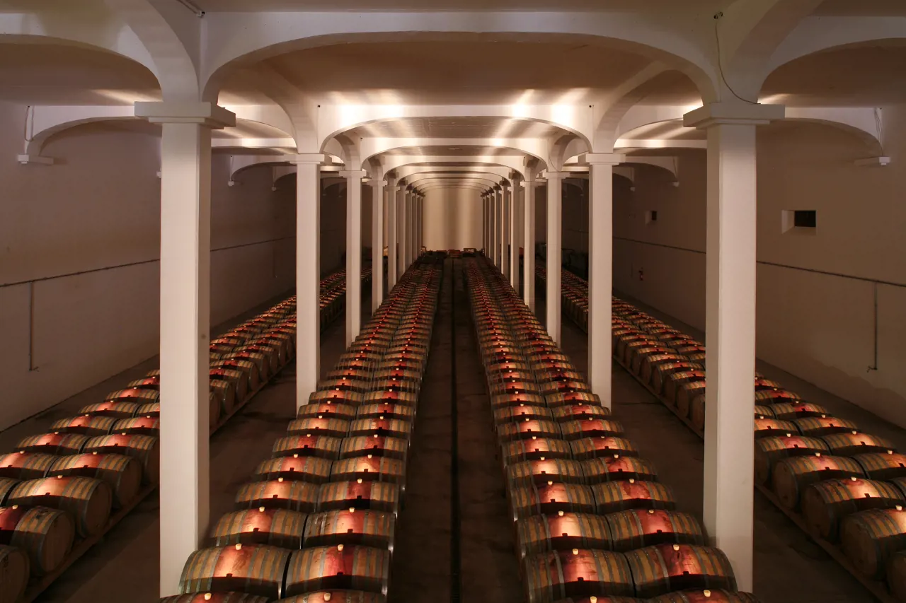 Guided visit to Campolargo Winery