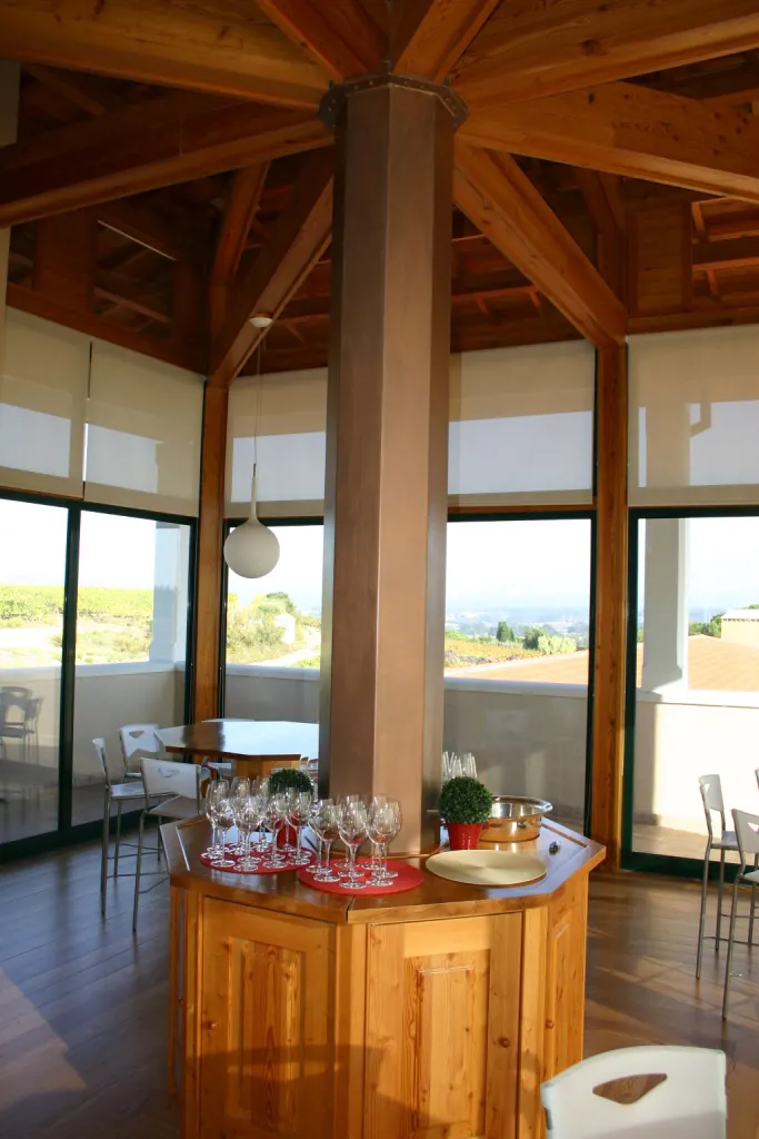 Guided visit to Campolargo Winery