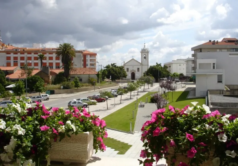 Oliveira do Bairro