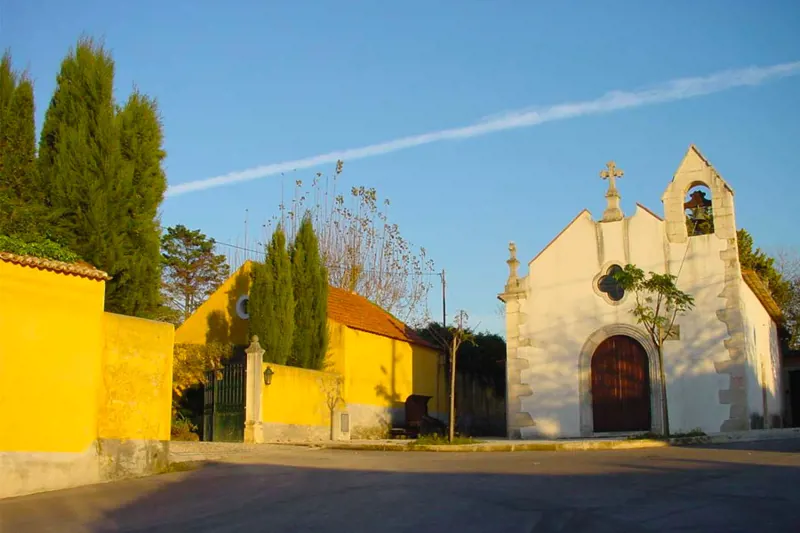 Cantanhede