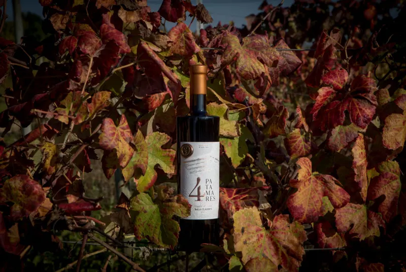 Quinta da Mata Fidalga