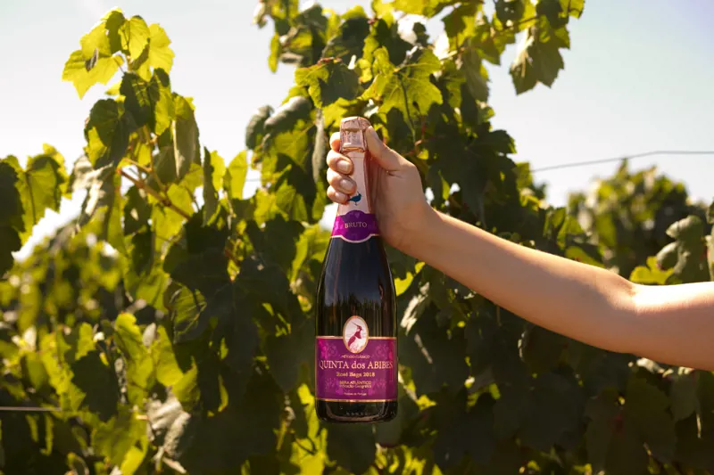 Quinta dos Abibes