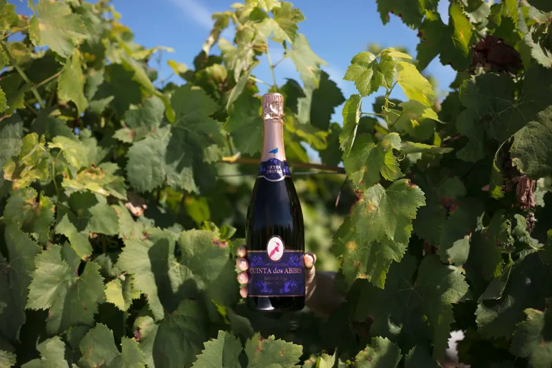 Quinta dos Abibes