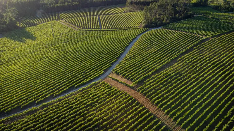 Quinta da Lagoa Velha