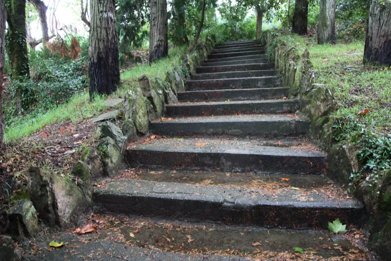 Vale de Canas National Forest