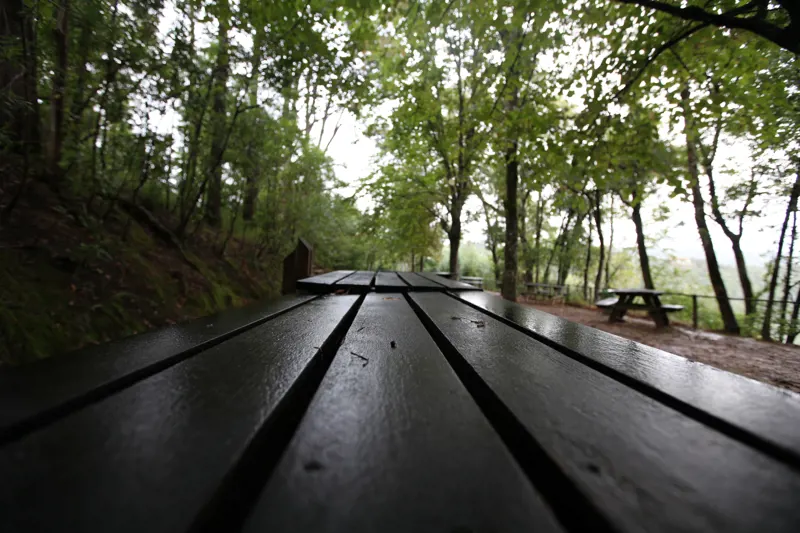 Vale de Canas National Forest