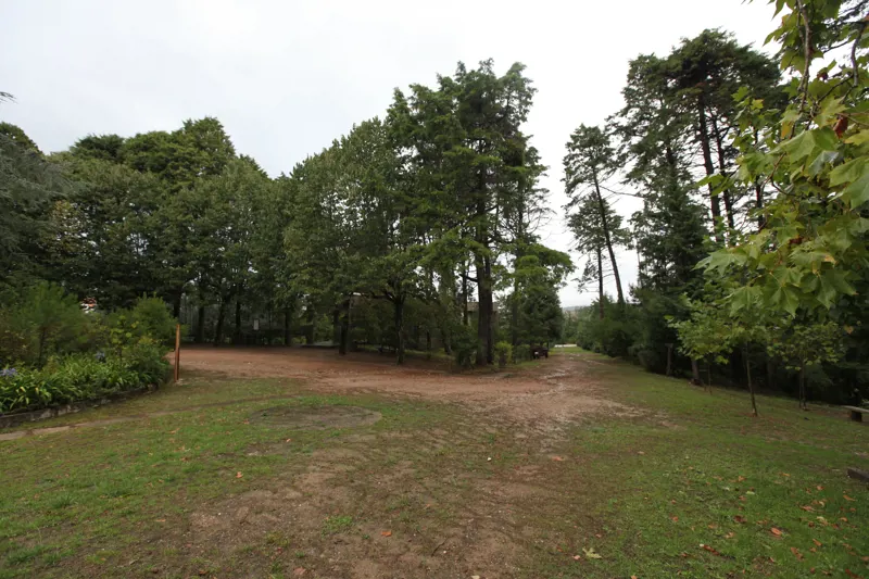 Vale de Canas National Forest