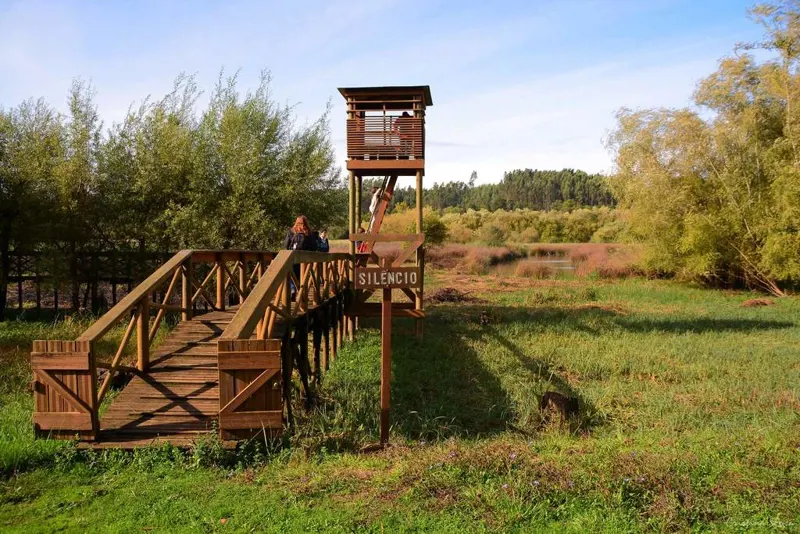 Reserva Natural de Paúl de Arzila