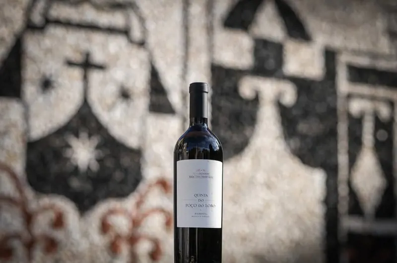 Quinta do Poço do Lobo wine tasting at Caves São João
