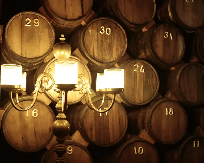 Ser enólogo por um dia - Aliança Vinhos de Portugal
