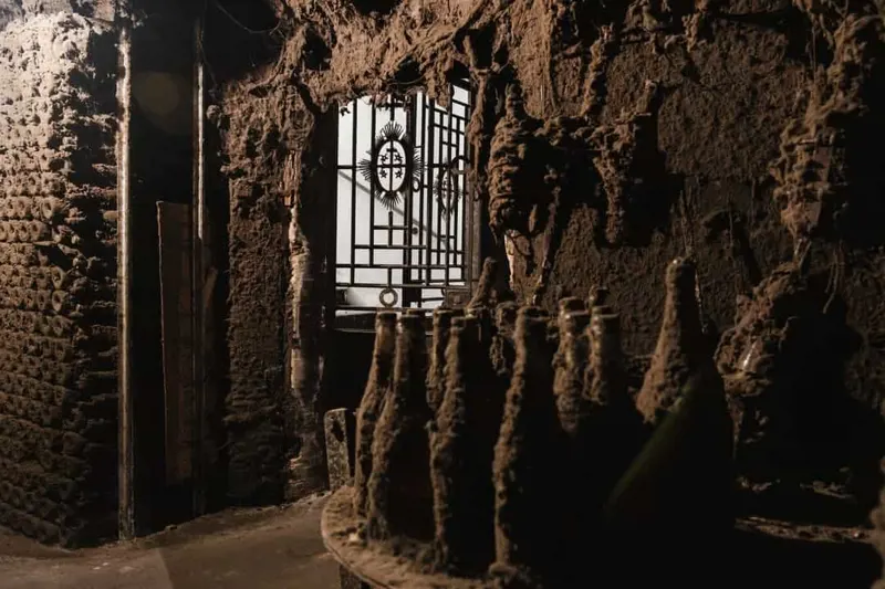 Guided visit to Caves São Domingos