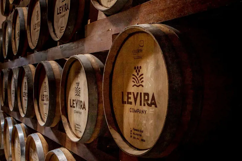 Visita à Destilaria Levira