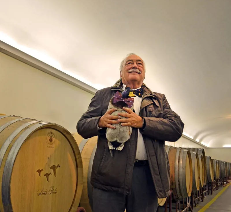 Visita guiada e prova de vinhos na Adega Luís Pato
