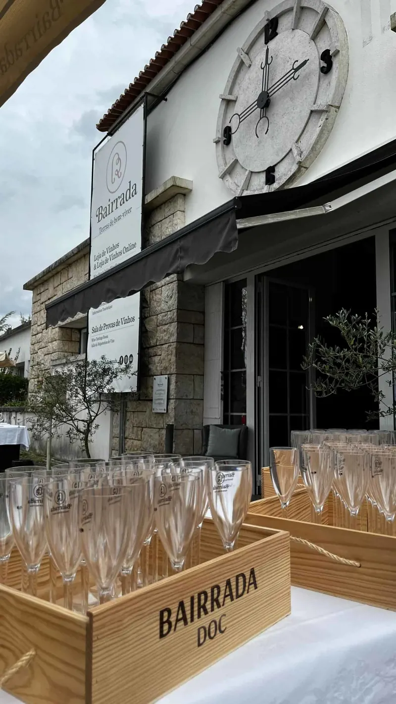 Visita guiada al Espaço Bairrada de Curia con degustación de Amor da Curia y flute de vino espumoso
