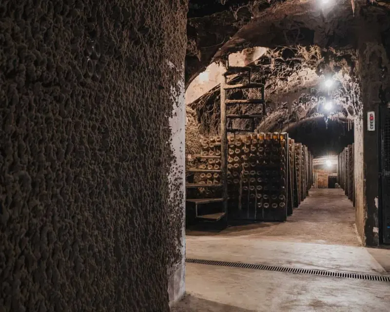 Viagem pela Bairrada Vitivinícola by Caves São Domingos