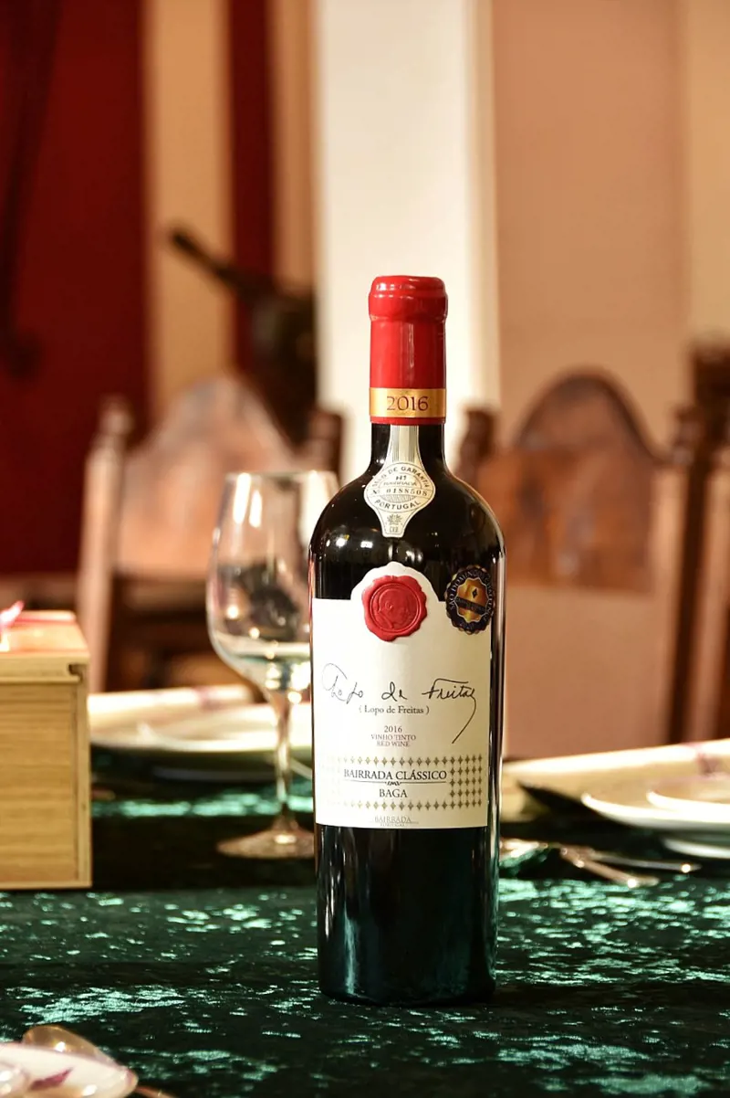Guided visit and Bairrada experience at Caves São Domingos