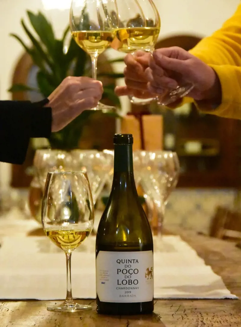I Prova de vinhos clássicos nas Caves São João