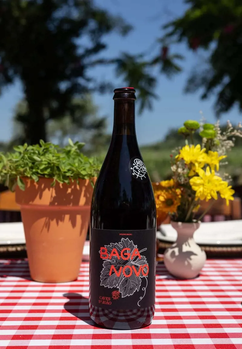 I Prova de vinhos clássicos nas Caves São João