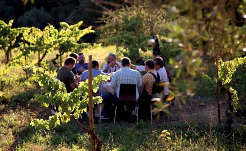 Lunch in a centenary vineyard of Prior Lucas