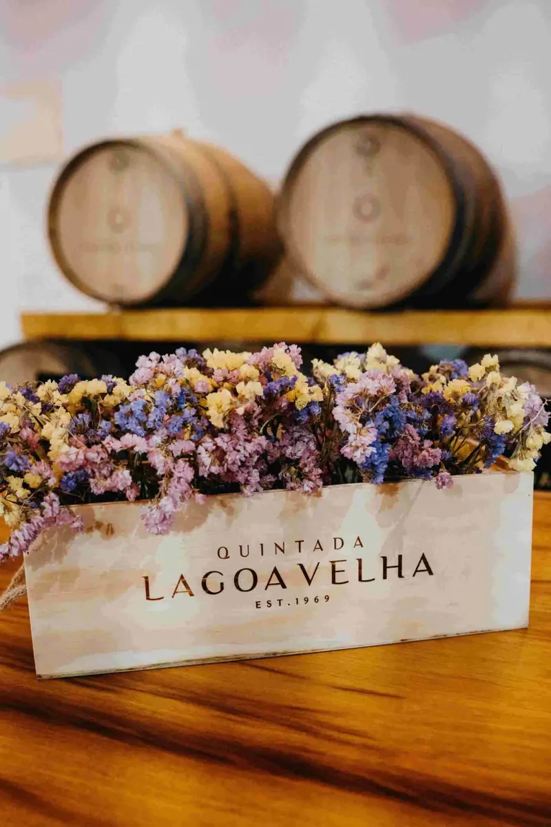 Tour I Quinta da Lagoa Velha