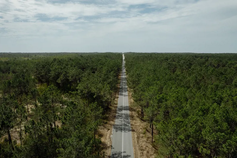 Vagos Dunes National Forest