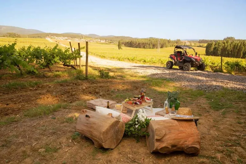 Lanche Bairrada by Caves Messias