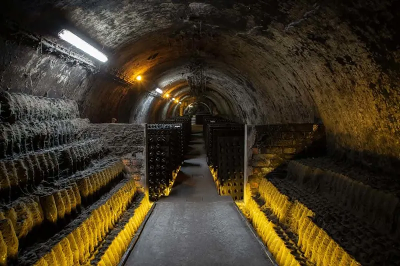 The art of creating wine by Caves Messias
