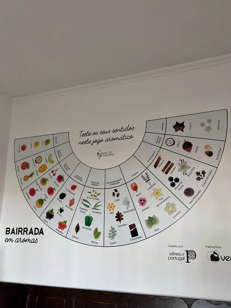 Bairrada em Aromas