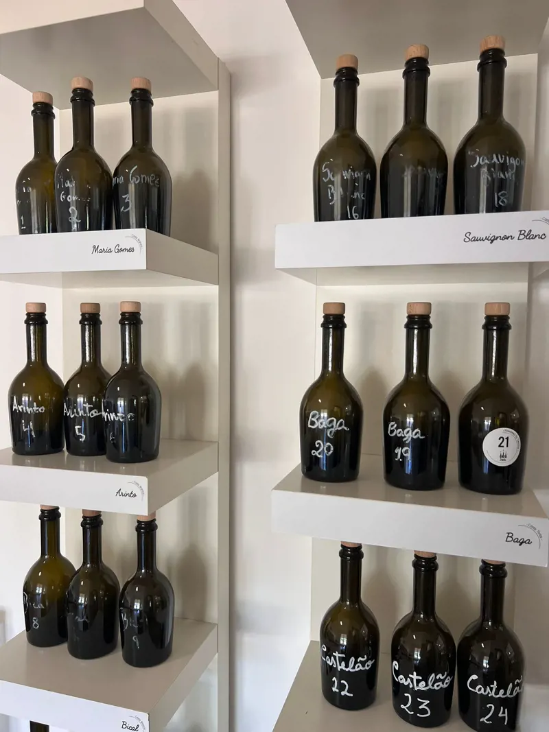 Bairrada em Aromas