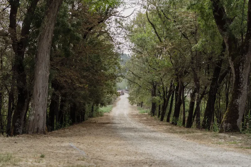Percurso Natura Rio Boco- PR3