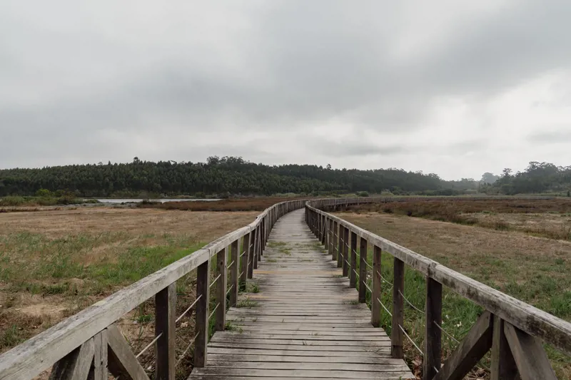 Percurso Natura Rio Boco- PR3