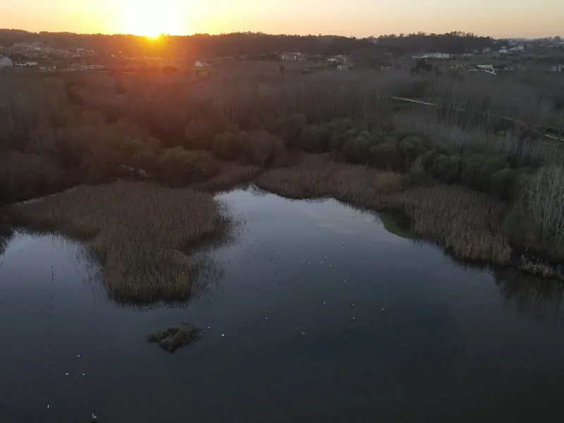 Parque da Lagoa