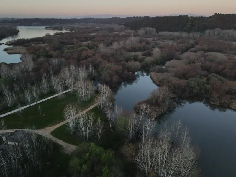 Parque da Lagoa