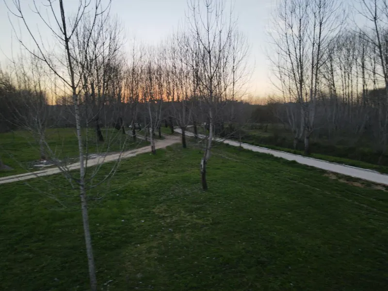 Parque da Lagoa