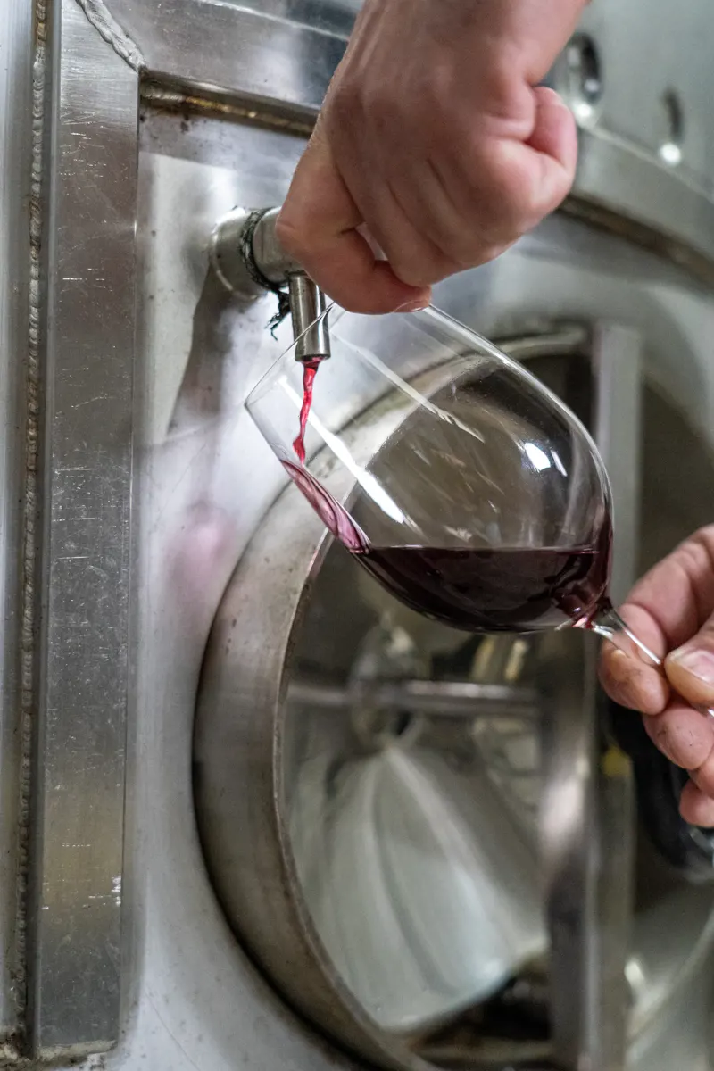 PGA Vineyard and Winery Tour – Pedro Guilherme de Andrade
