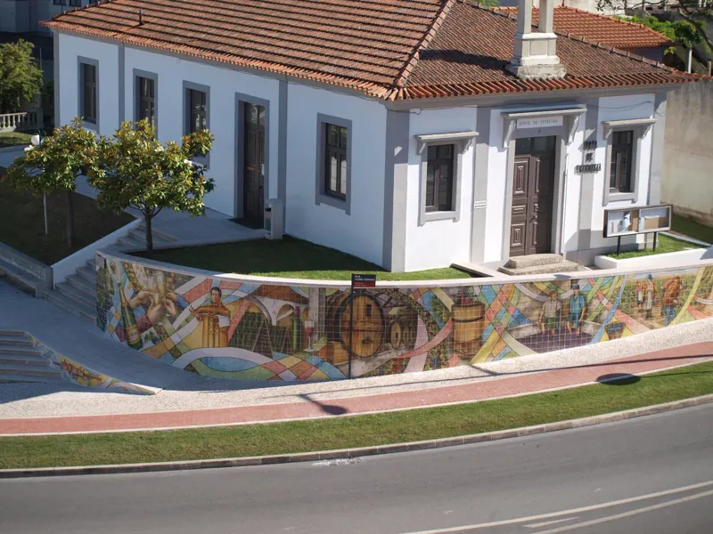 O Leitão e o Espumante | Amílcar Ferreira