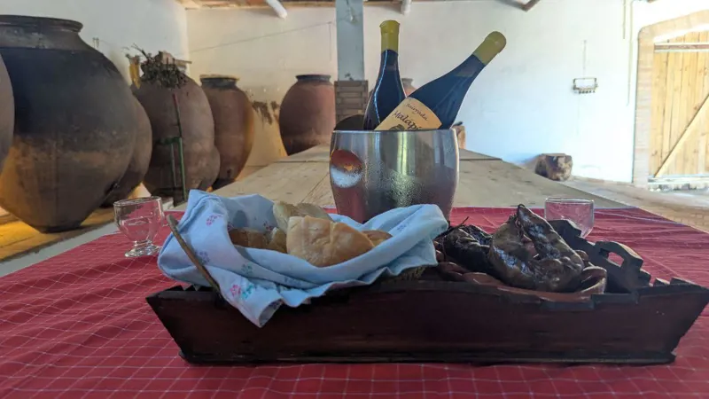 Sentir a colheita: Bairrada em mãos | Vinho de Talha Malápio