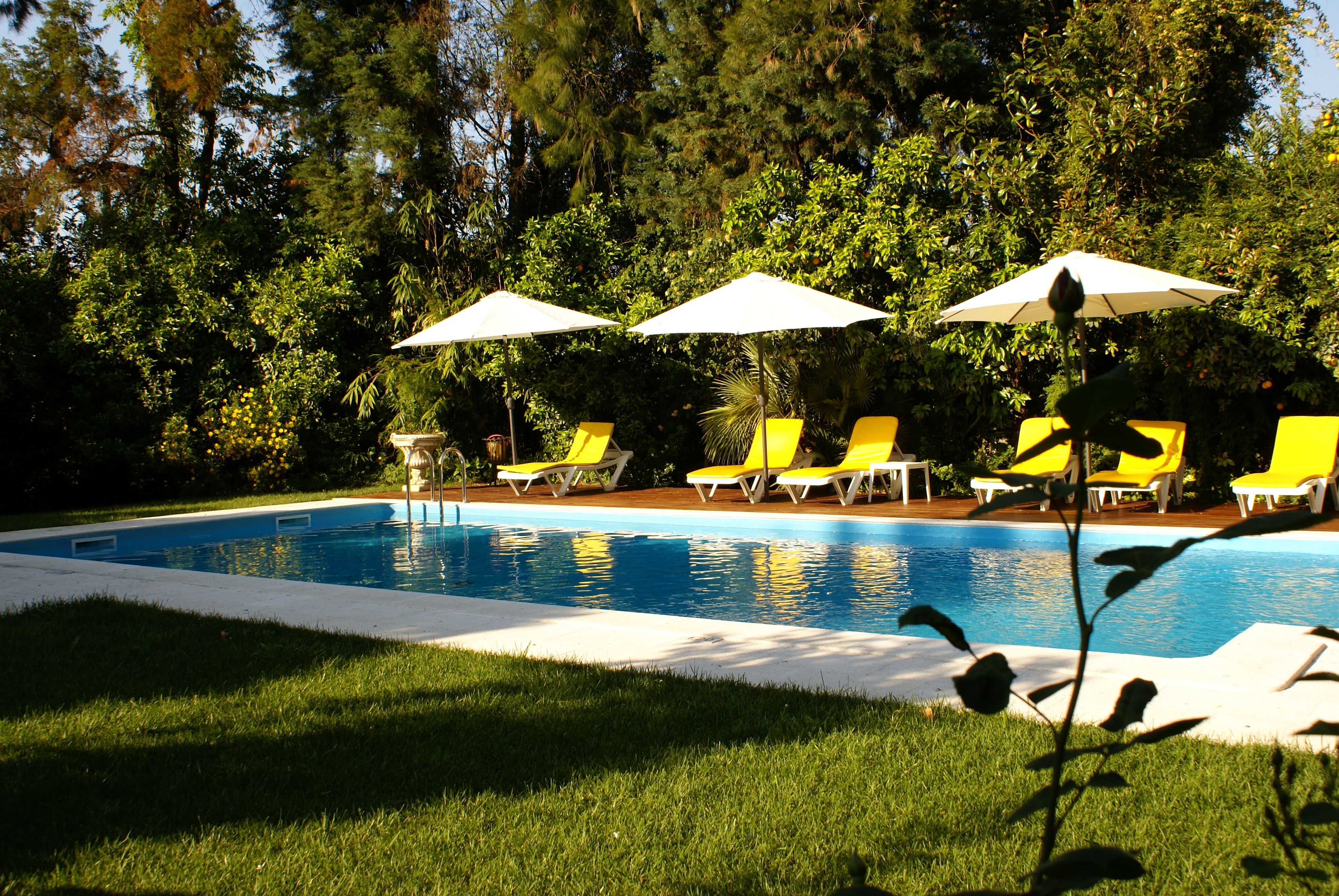 Quinta de São Lourenço