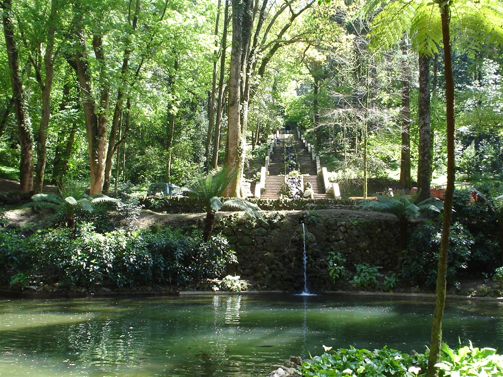 Fundação Mata do Bussaco