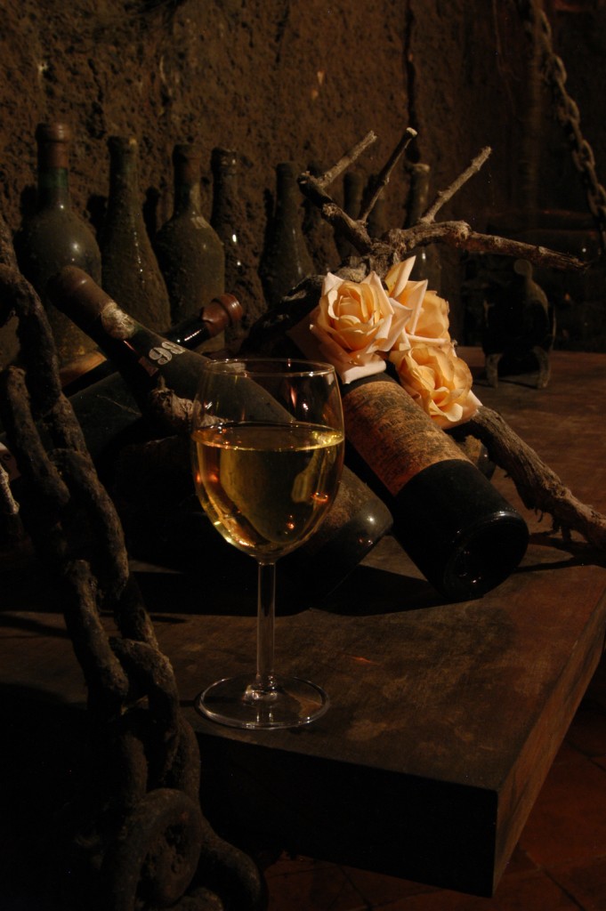 Vinos de nuestra Quinta do Poço do Lobo