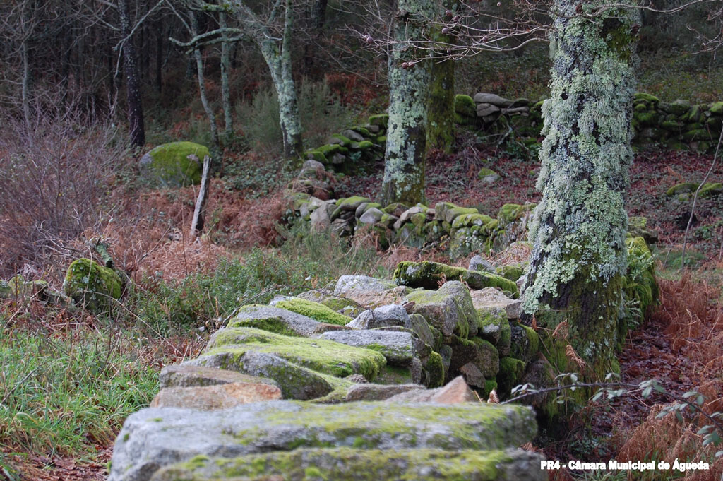 Sendero de Tierras de Granito