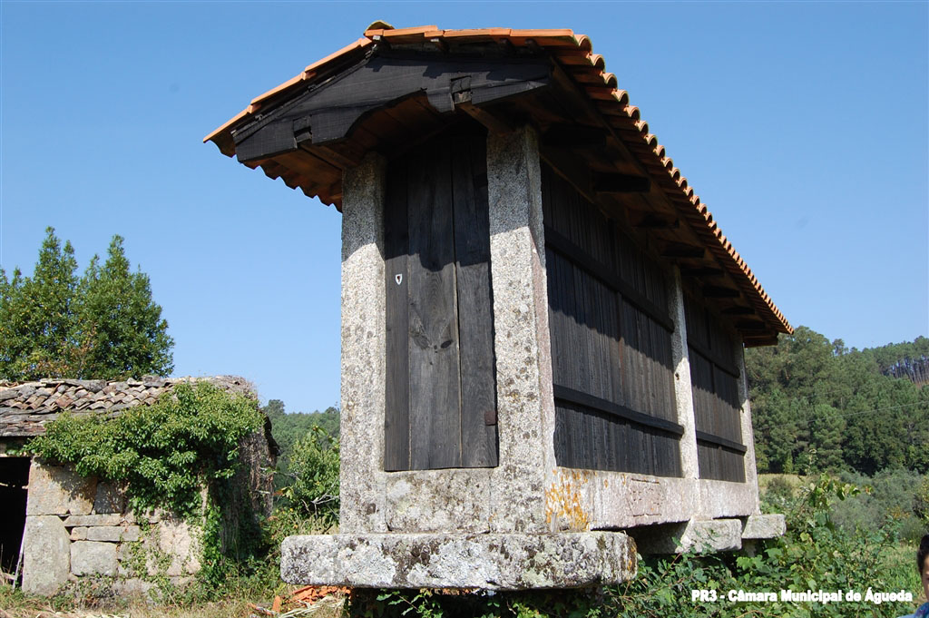 Sendero Aldeia