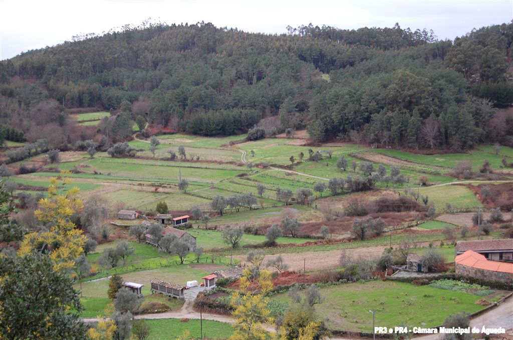 Trilho da Aldeia