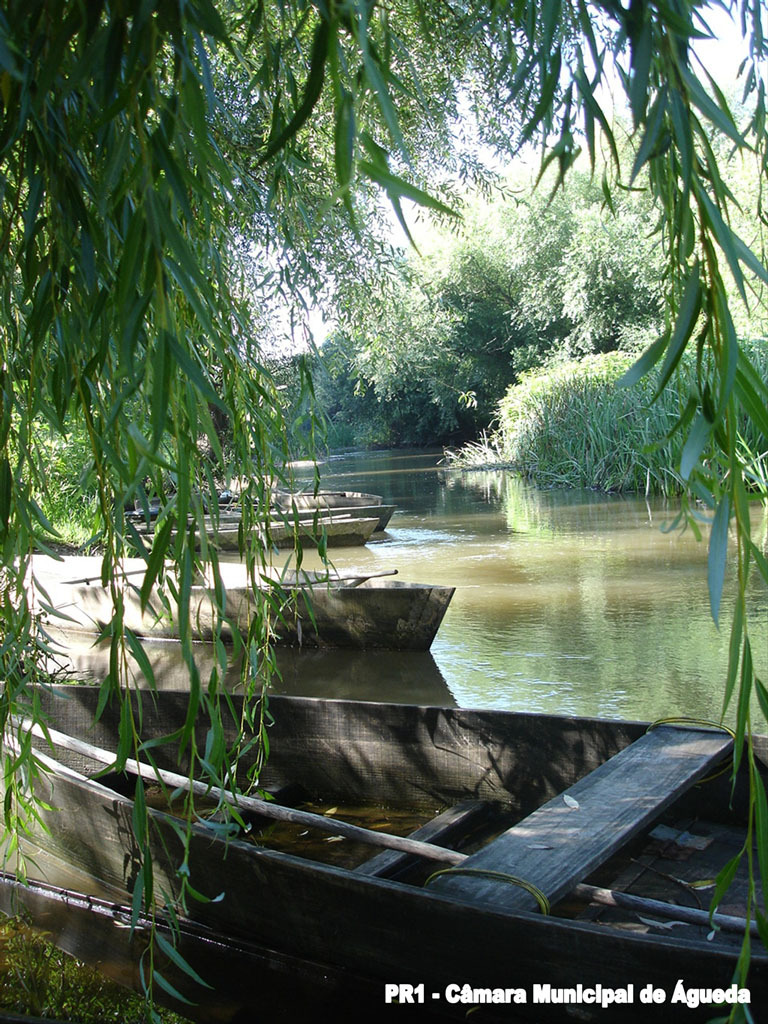 Sendero Da Pateira ao Águeda