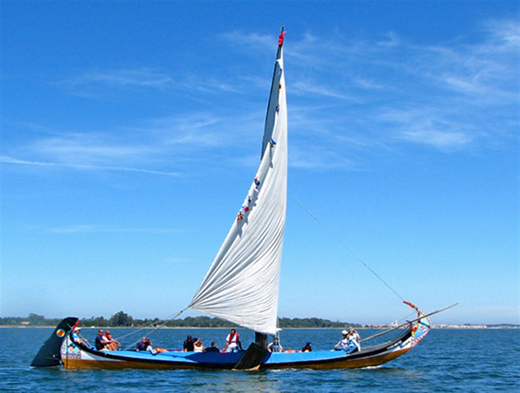 Crucero por los Canales de la Ciudad de Aveiro con Viva a Ria