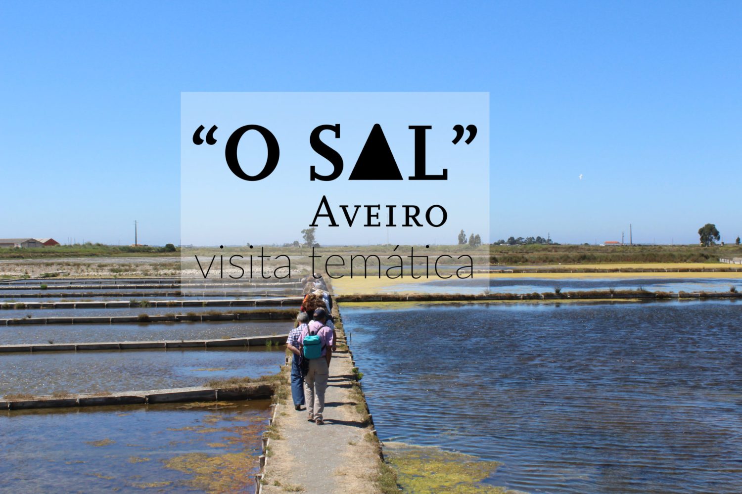 Visita ao Sal de Aveiro com Viva a Ria