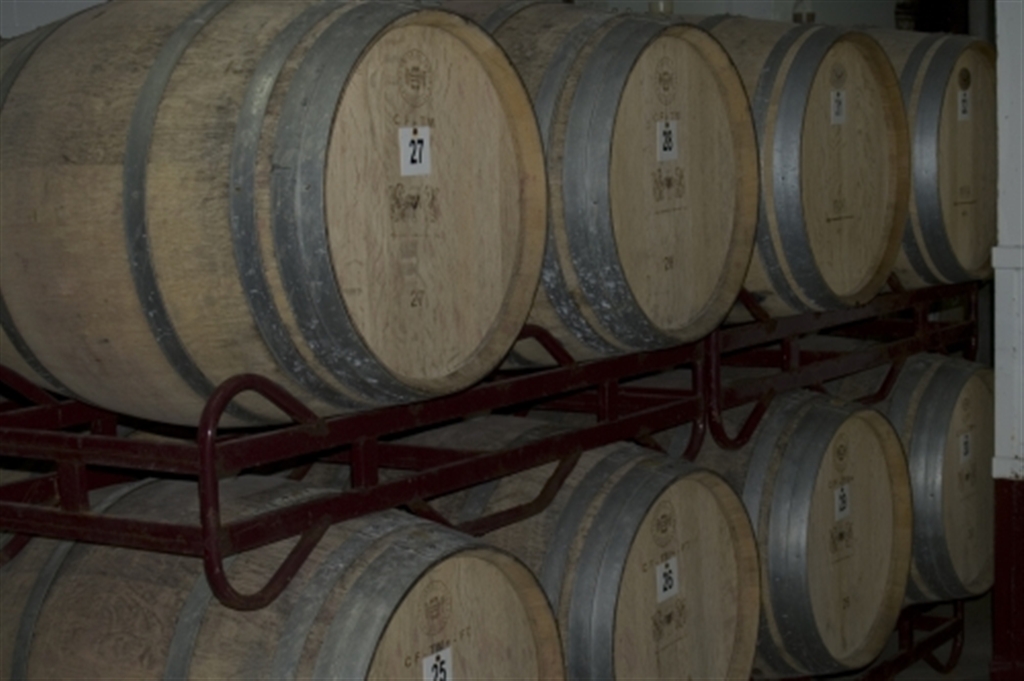 Visita guiada Adega de Cantanhede