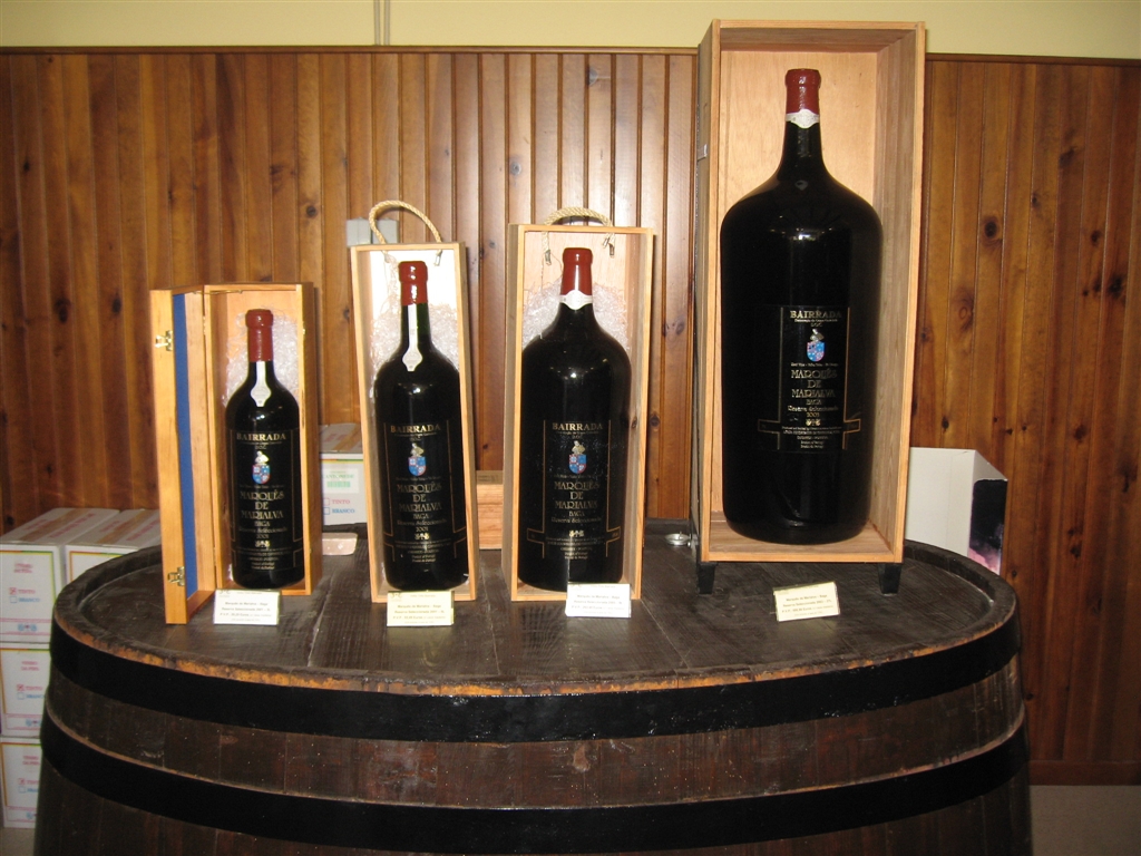 Guided visit to Adega de Cantanhede