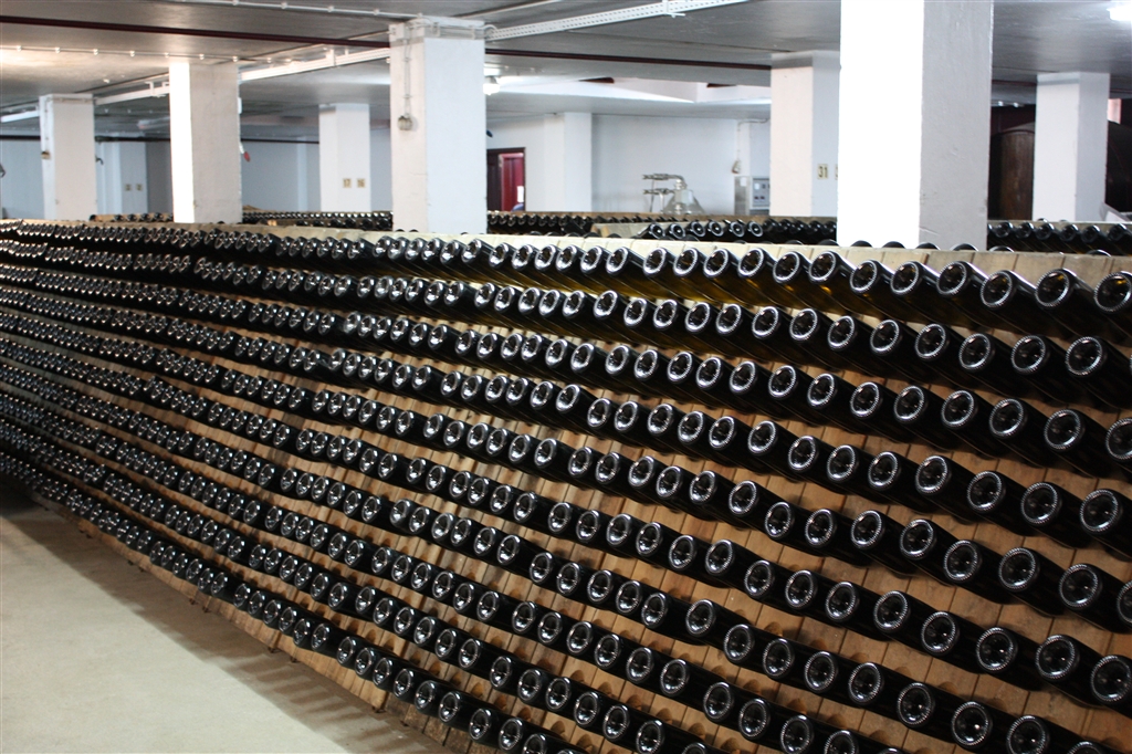 Visita guiada Adega de Cantanhede